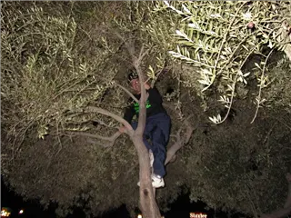 small_111499 comdexAUT_1581.webp